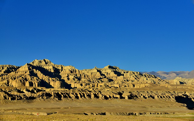 抖音如何看月付商家账单_花呗银行卡填错了