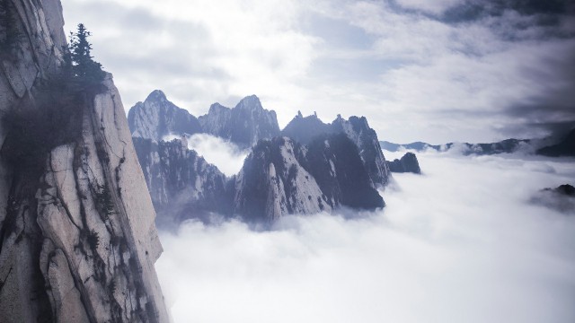 商家白条办理_抖音月付可用的商家文件柜