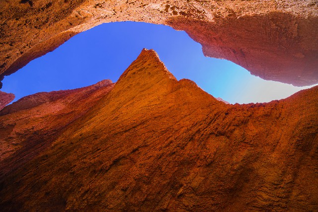 商家白条补贴_羊小咩信用提现