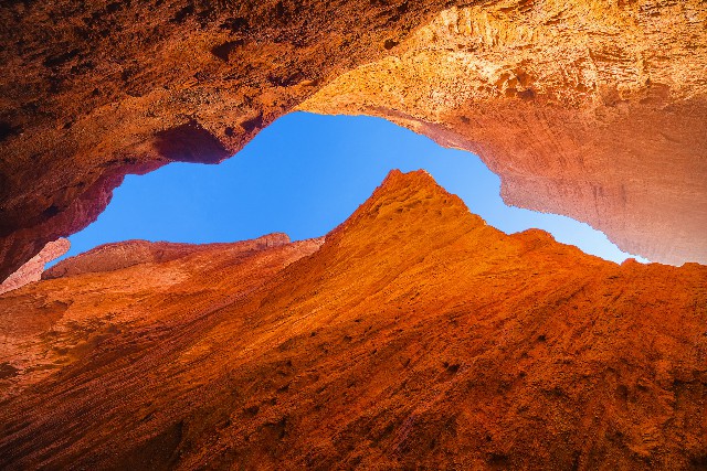 京东白条扣商家_花呗天猫套
