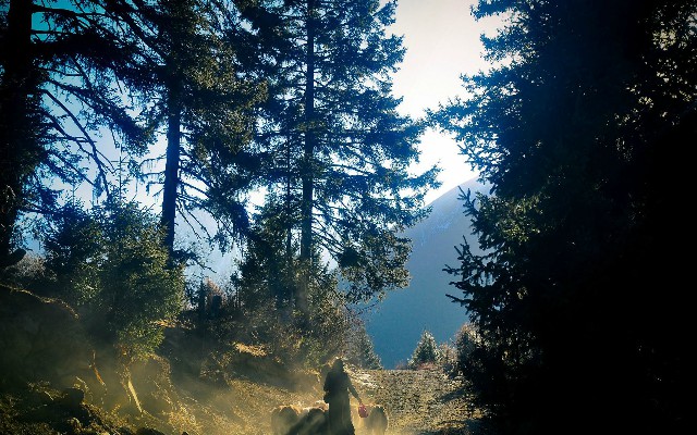 抖音商家开通月付支付手续费多少_京东白条变现是什么意思