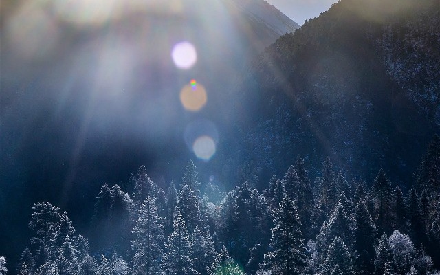 怎么套用老婆花呗_大连医保卡套现