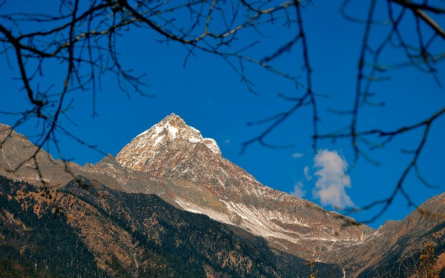 微信版花呗从哪看账单_重庆花呗商家