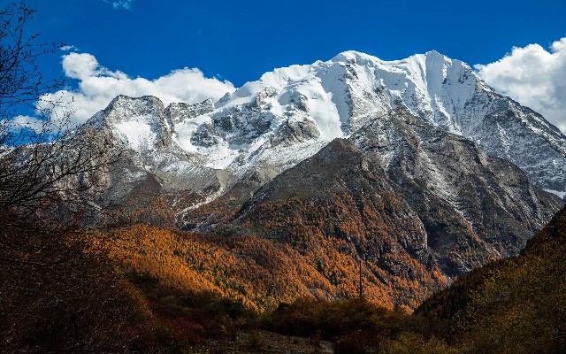 套花呗还借呗_羊小咩怎么找商家套现
