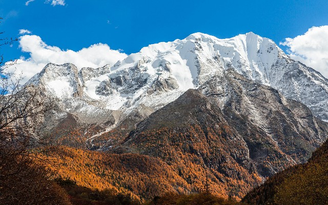 抖音月付可用的商家男生衣服_花呗支付商家怎么用