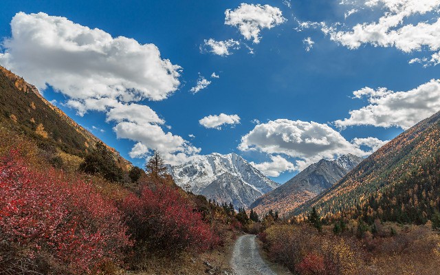 钱柜套花呗_花呗咋买商家