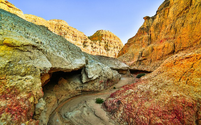 白条套现不了_江白条提现