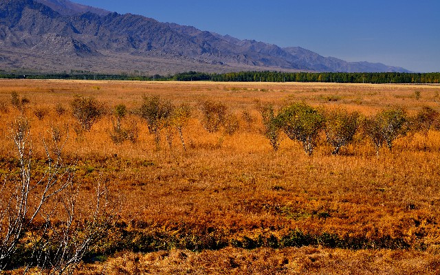 卡农社区白条套现_京东白条在哪可以套出来