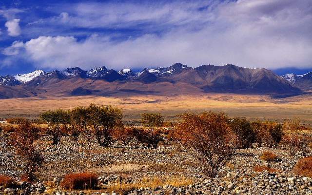 淘宝花呗套现服务_商家如何关闭花呗三期