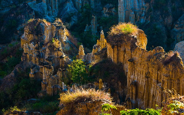 商家开通抖音月付扣点_抖音套花呗