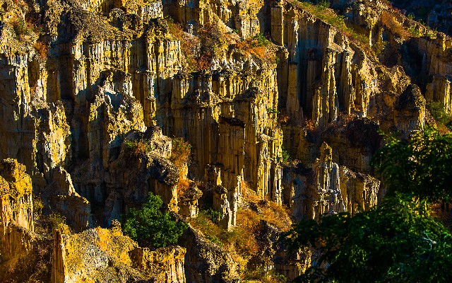 订单支持抖音月付的商家_羊小咩提前还款会套路吗