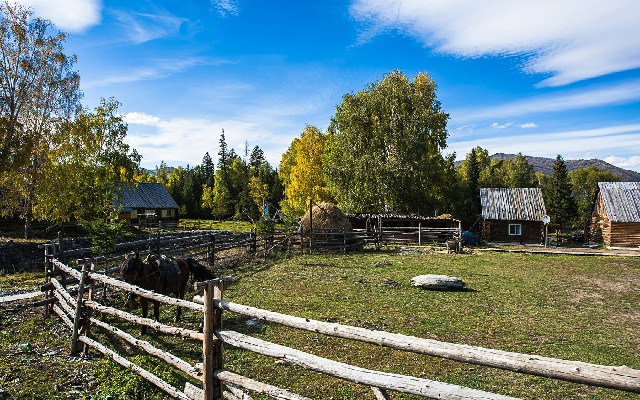 蚂蚁花呗624_羊小咩铜锅涮肉套餐