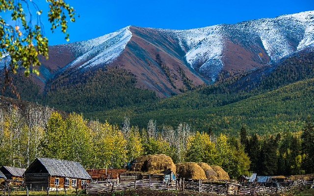 抖音月付套现一般收取几个点_抖音月付回款商家知道吗