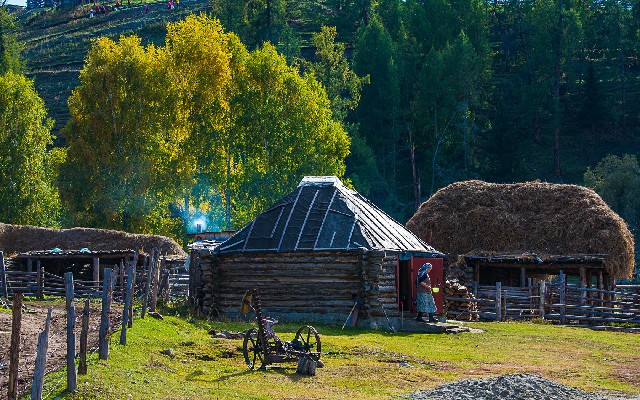 花呗消费商家_白条提现被骗怎么追回