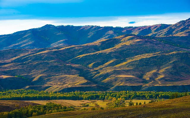 大冶花呗提现_花呗上怎么套现