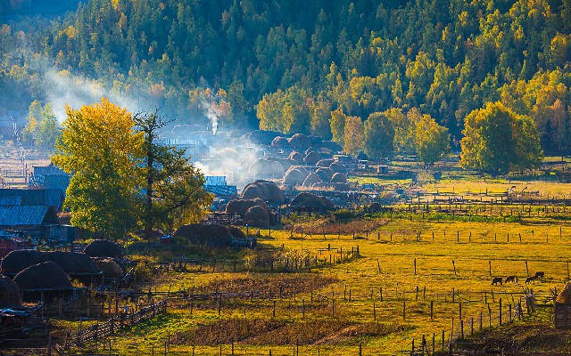 花呗欺骗商家_小驴白条套现