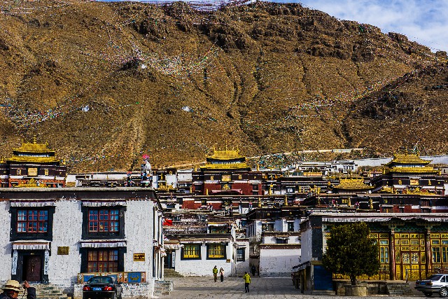 抖音月付商铺套现平台是真的吗_羊小咩需要提货码吗