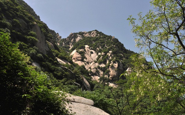 渭塘羊小咩套现_花呗可以往微信上转钱吗