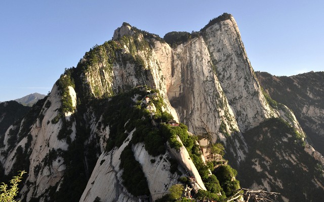花呗提现套路_商家花呗电话