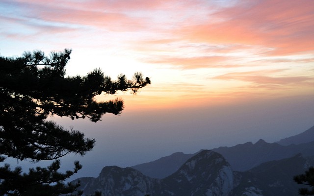 潮州抖音月付商家_怎么举报花呗商家客服