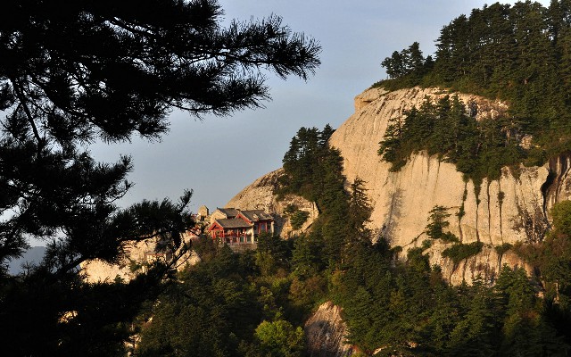 白条套提现_京东白条退货商家