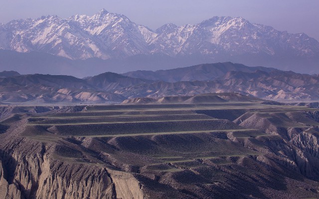 商家花呗红包码_小咩羊队清凉出场