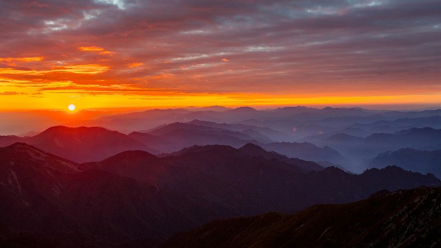 类似花呗可以提现的软件_从花呗怎么提现金