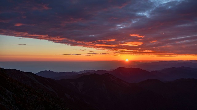 信用白条 提现_无锡套现医保电话