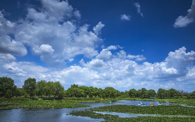 抖音月付能使用的商家_退休医保关系转出