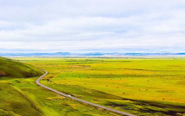 联通花呗套餐99_花呗多会套好
