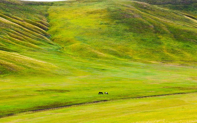 把花呗转给商家收费吗_商家花呗收款扣商家钱吗