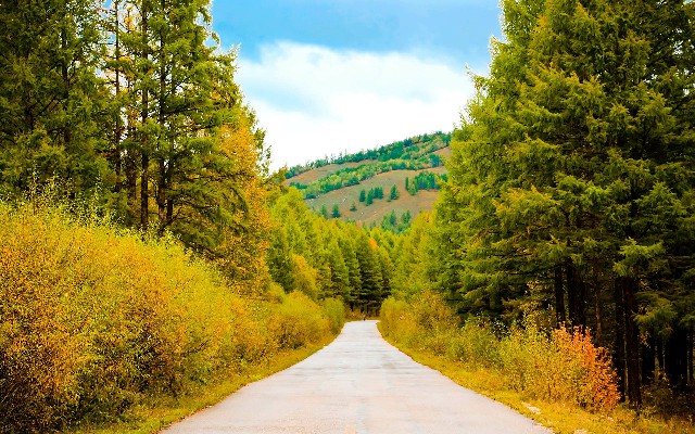 抖音月付可用的商家黄金店_干脆面抖音月付商家