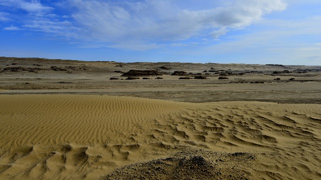羊小咩贷款怎么提前结清_花呗套电费