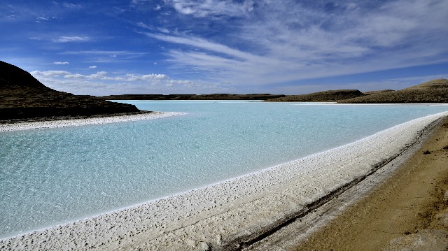 羊小咩卡套_商家花呗门槛