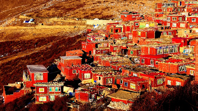 商家花呗条码_花呗商家签约条件