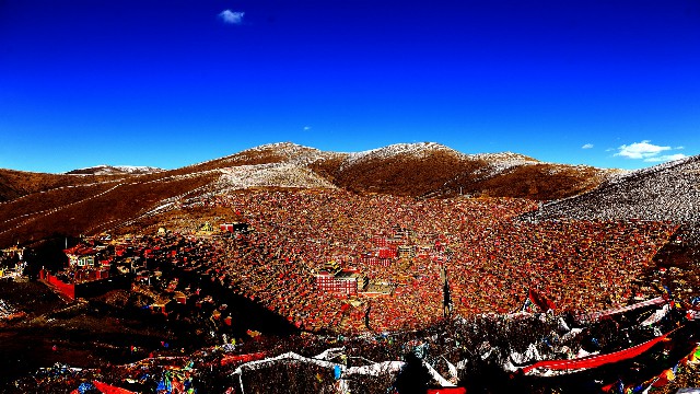 花呗商家码花呗手续费怎么算_商家花呗和普通花呗