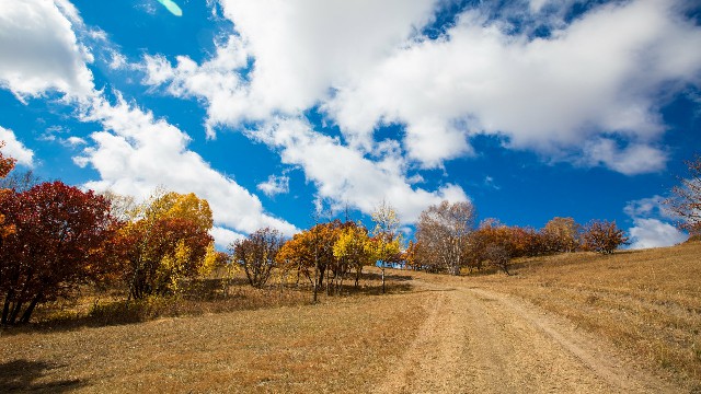 陇南京东白条提现手续费_花呗商家排名