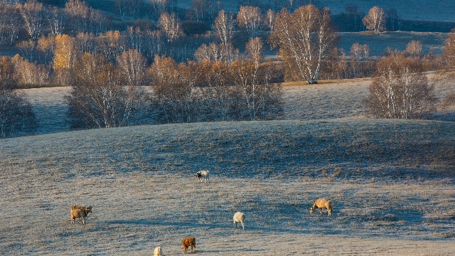 白条套现办法_兄弟套花呗图片