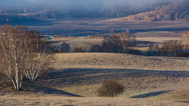 商家码花呗最多可转多少_抖音月付商家怎么收费
