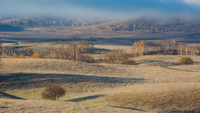 抖音月付小礼物怎么提现_成都商家收程程白条