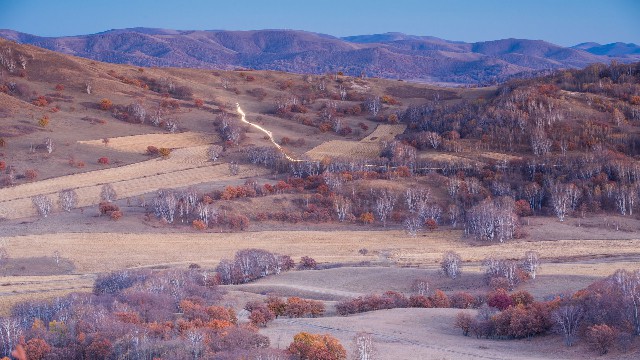 花呗自行套现2020_花呗借呗哪个可以提现金
