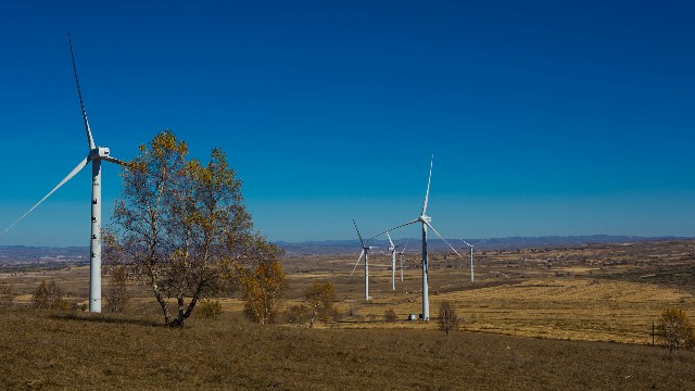 花呗快速套1000_可以自己套花呗吗