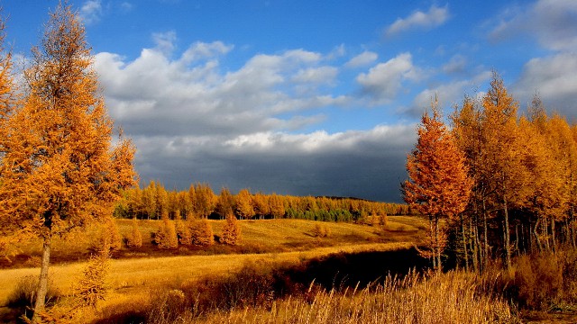 羊小咩怎么找商家套现_花呗卡套餐到期