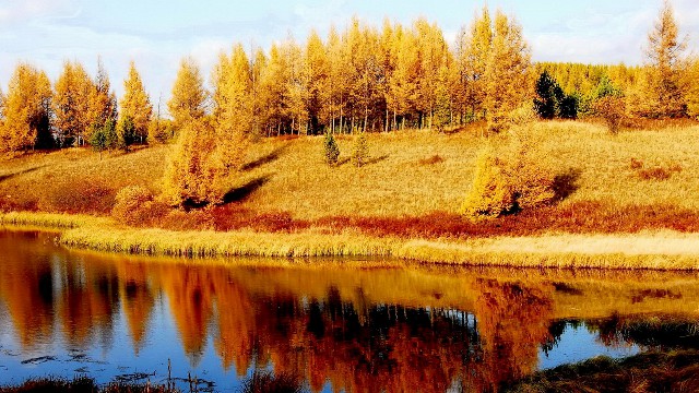 花呗借款扣银行卡钱吗_白条变现软件