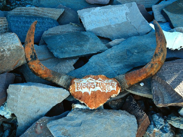 商家花呗没法收款_用花呗怎么解绑银行卡