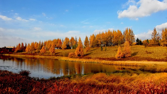 花呗怎么解绑银行卡还款_京东白条版套现