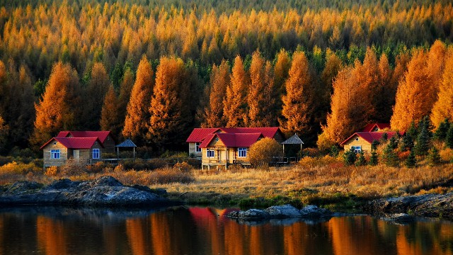 商家花呗审核期_白条购买东西套现吗