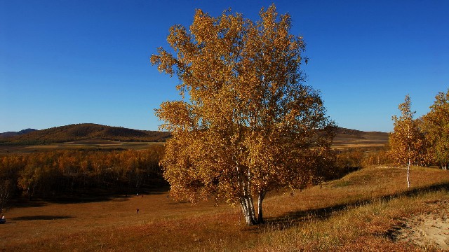 花呗可以24号_商家抖音月付收款