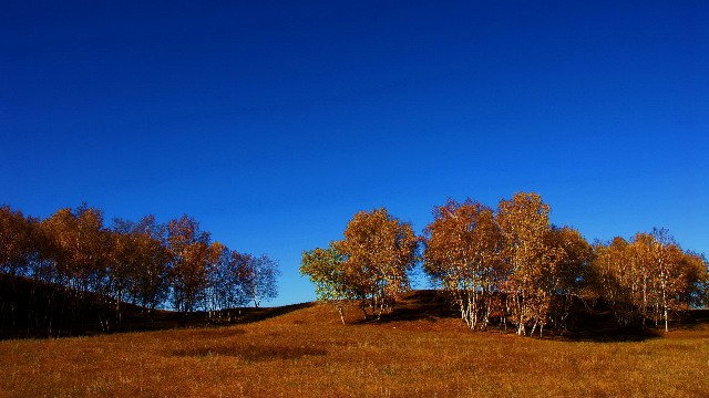 羊小咩没有提现额度_退款到抖音月付的钱怎么提出
