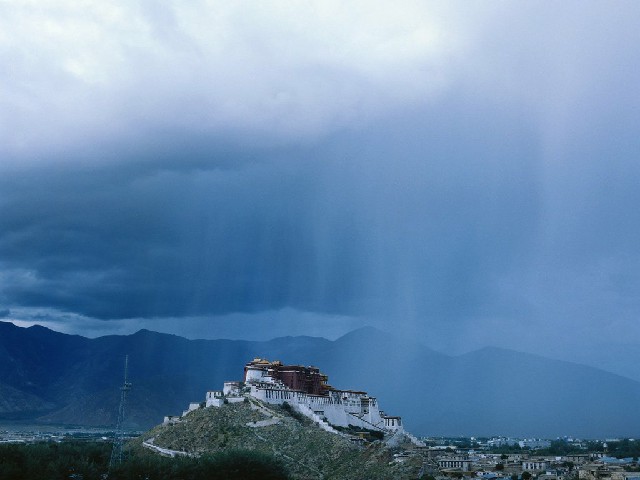 甜橙白条取现金_商家还款花呗